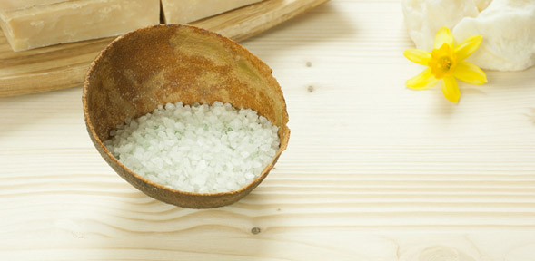 Mit den Grundlagen der Schüssler Salze Krankheiten heilen.